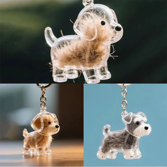 Dog's Hair Memory Capsule Keepsake Display Gift for Pet Lovers