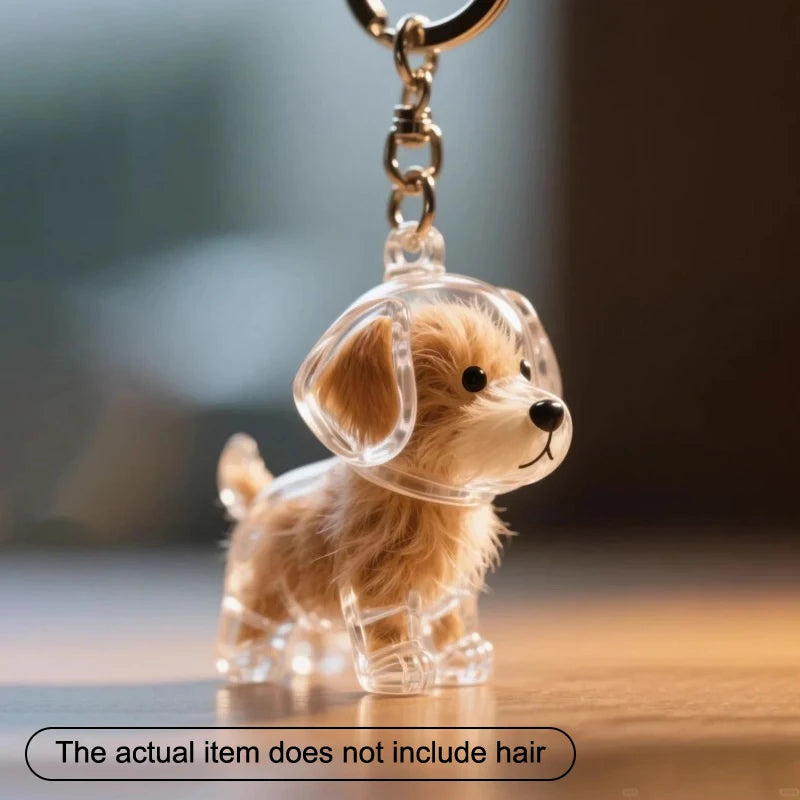 Dog's Hair Memory Capsule Keepsake Display Gift for Pet Lovers